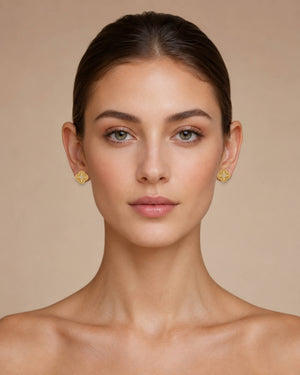 On-model image
